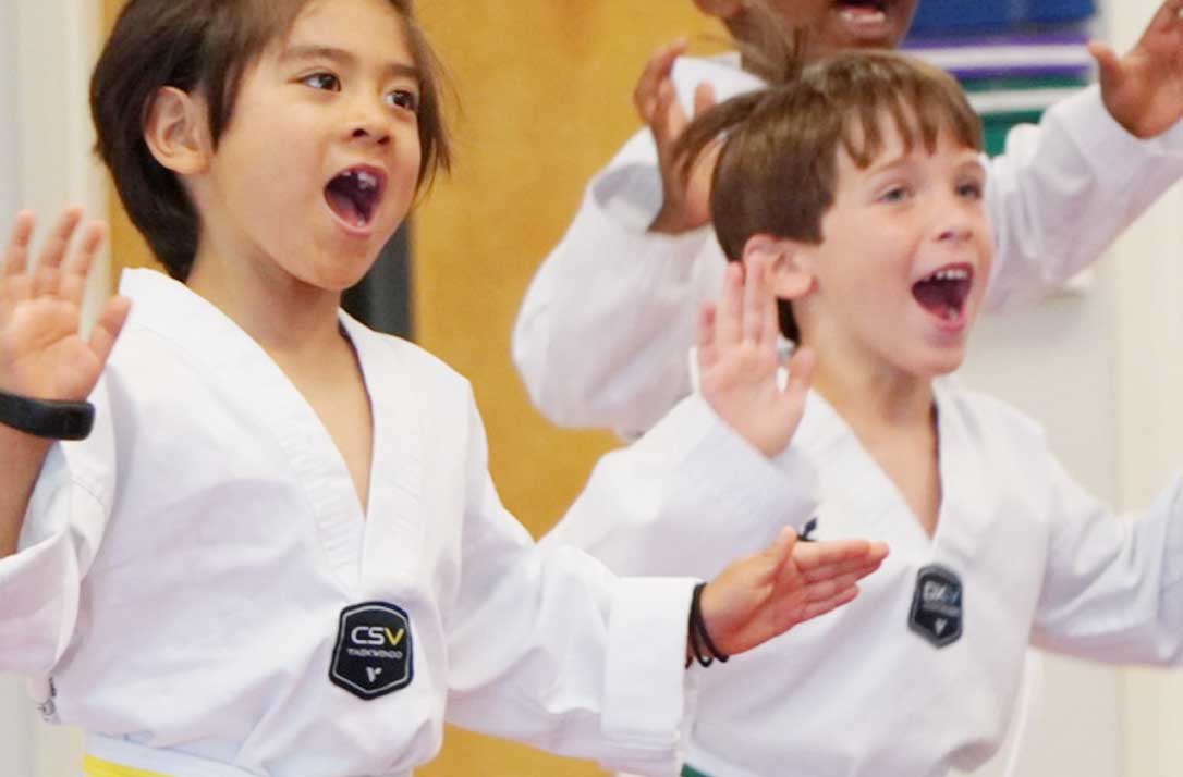 taekwondo tiny warrior class for 4-6 year old