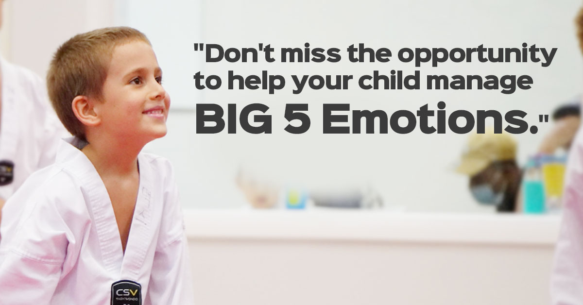 How Martial Arts Classes Help Your Child Manage Big 5 Emotions
